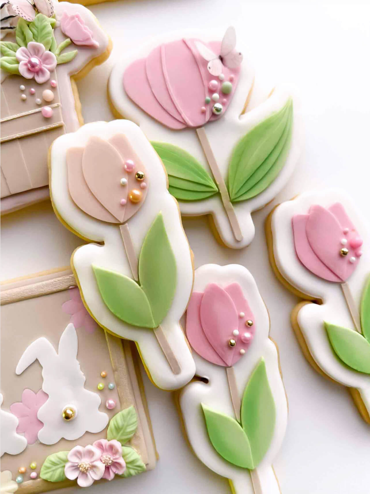 Tulip Fields - Sprinkles