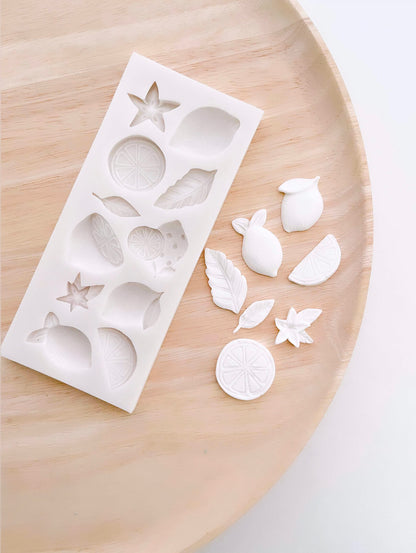 Assorted Lemons Silicone Mould