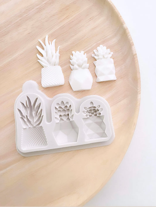 Succulent Pot Plants Silicone Mould